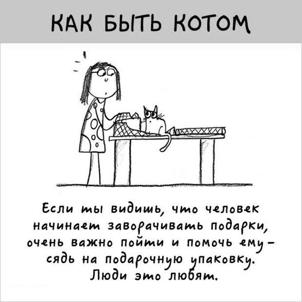 12 картинок с инструкциями о том, как быть котом инструкция, кот, юмор