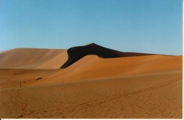 песчаные дюны или тяжелая жизнь в пустыне