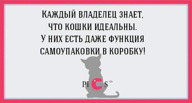 catowner05