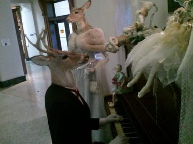 Идиотизм в картинках