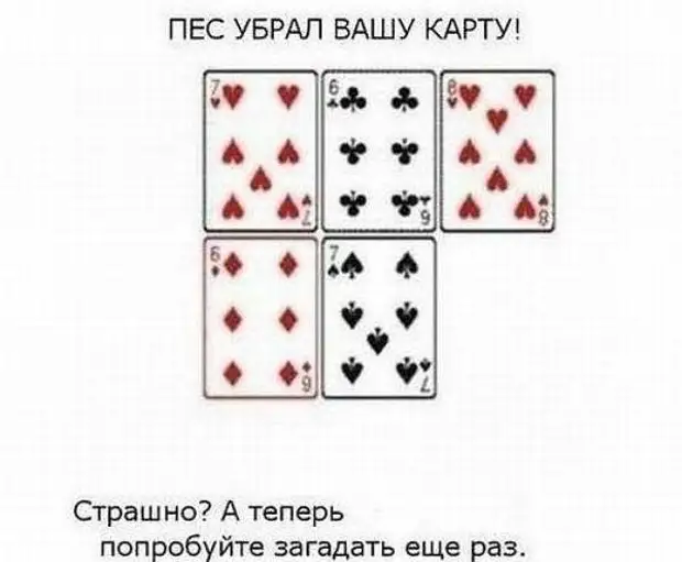 Какую карту загадал. Какую карту загадал