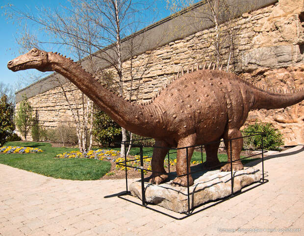 Парк Creation Museum