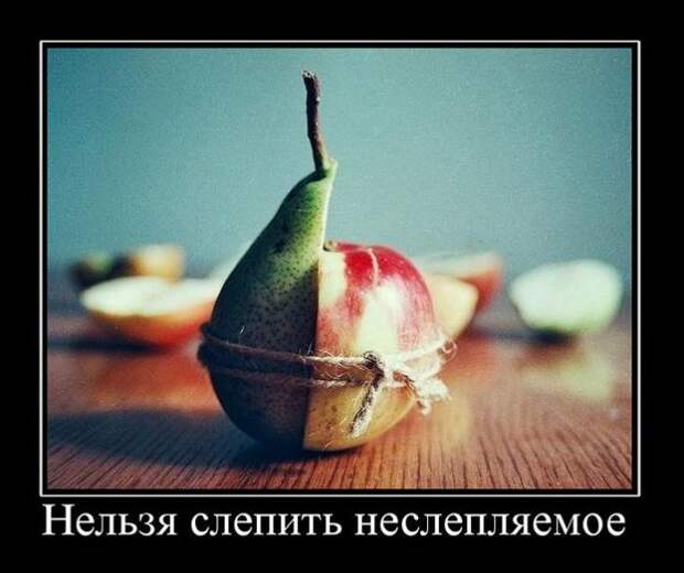 Демотиваторы (44 фото) Демотиваторы (44 фото)