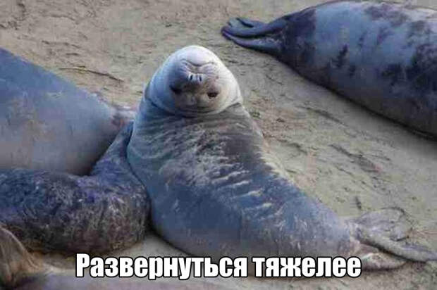 Прикольные картинки. Дневной выпуск (53 фото)