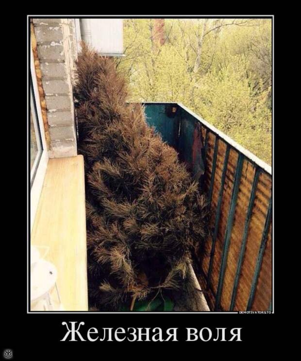 Посмеялись - и хватит 37