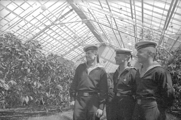 Ретро фотографии Ретро фотографии