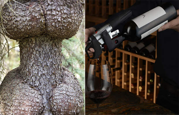 12 малоизвестных названий для вещей, которые всем известны