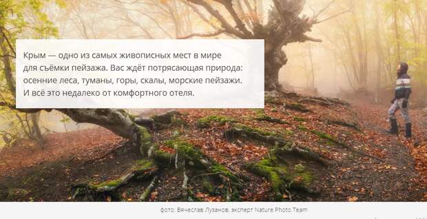 naturephotocamp.ru