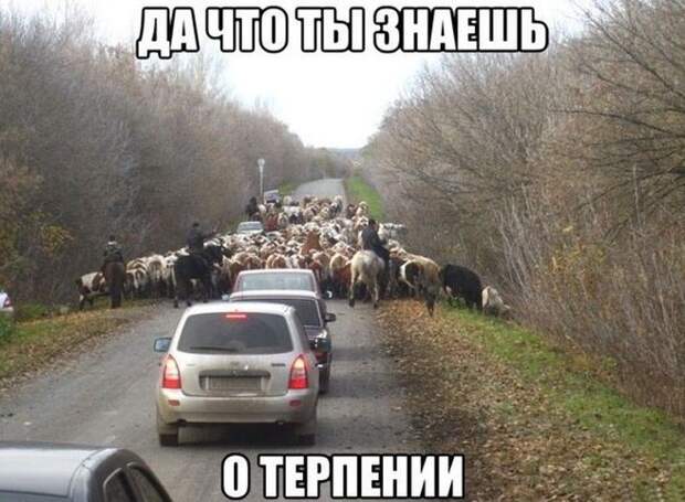 Подборка автоприколов. Часть 218 авто, автоприколы, приколы