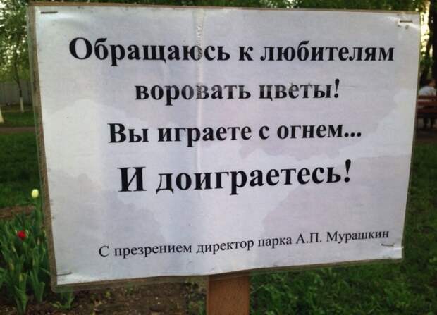 Душевный копирайтинг от народа написи, объявление, позитив, юмор