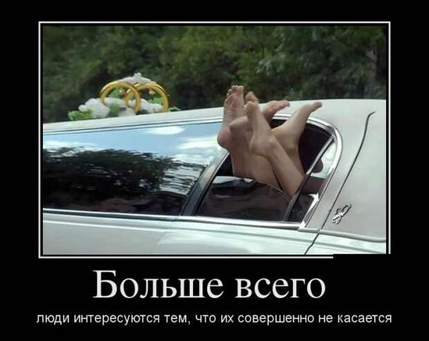 Демотиваторы (30 фото)