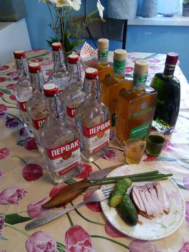 Абсент и Бехеровка для ленивых. Абсент, Бехеровка, Самогоноварение, Хобби, Рукоделие с процессом, Длиннопост