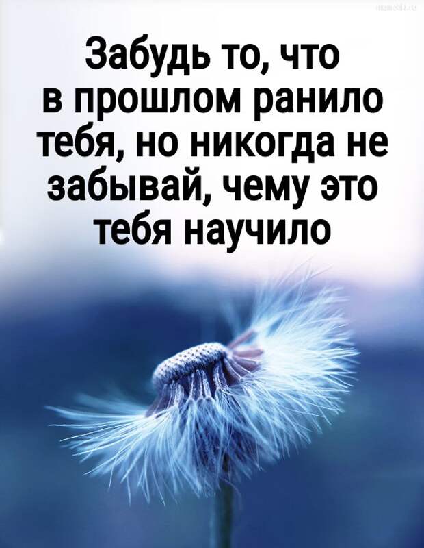 Забудь то, что в прошлом ранило тебя, но никогда не забывай, чему это тебя научило