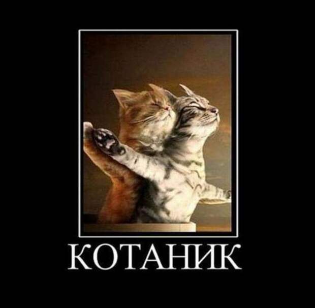 Демотиваторы. Подборка chert-poberi-chert-poberi-44430407032020-5 картинка chert-poberi-44430407032020-5