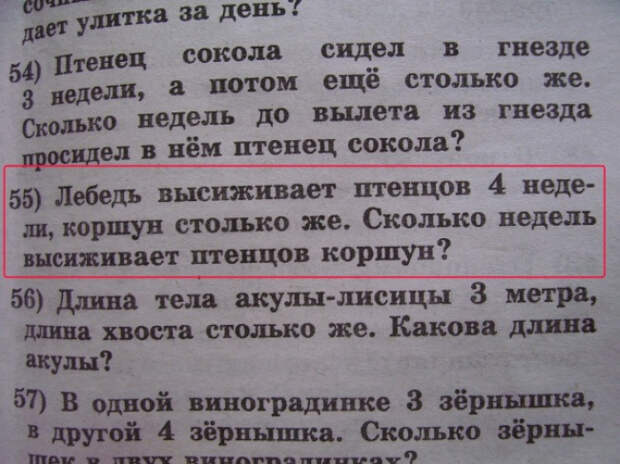 идиотские учебники 