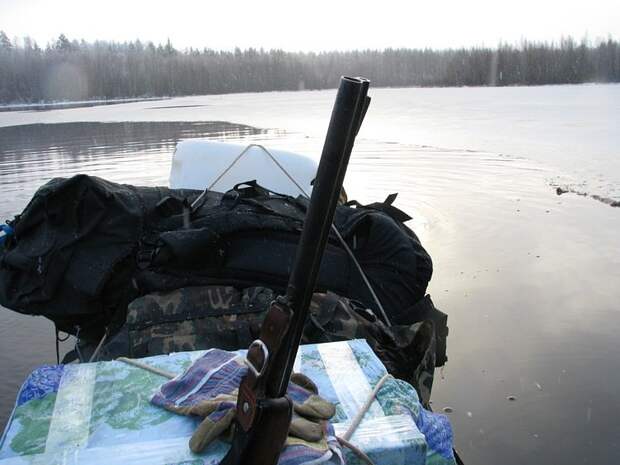 Отпуск в лесу