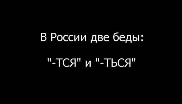 открытки с сарказмом для знатоков русского языка