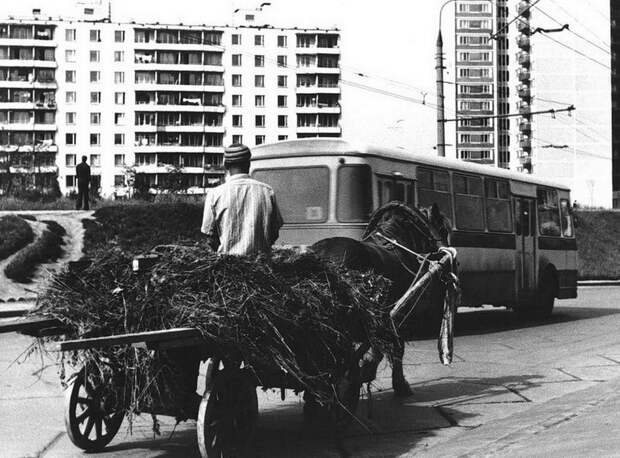 Москва