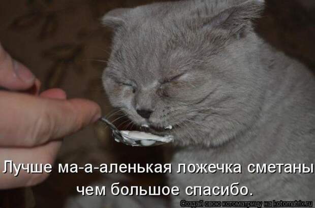 Мысли вслух :)
