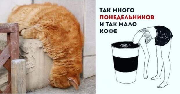 Понедельник у некоторых не начинался вовсе  