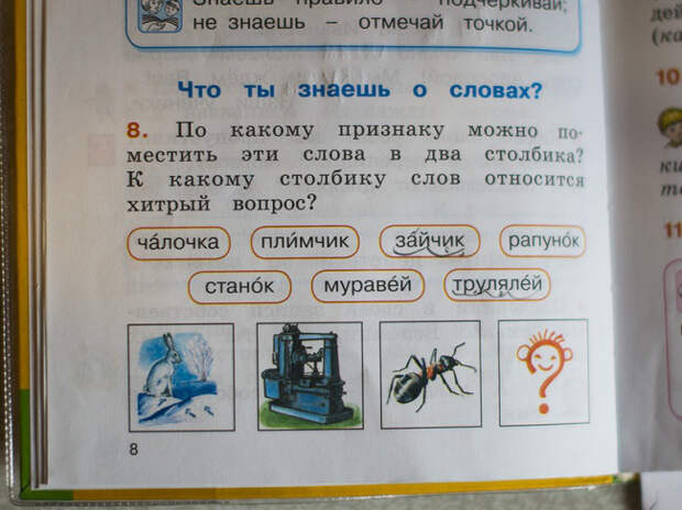 идиотские учебники 