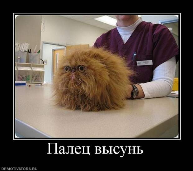Сборник моих демотиваторов демотиватор, сборник