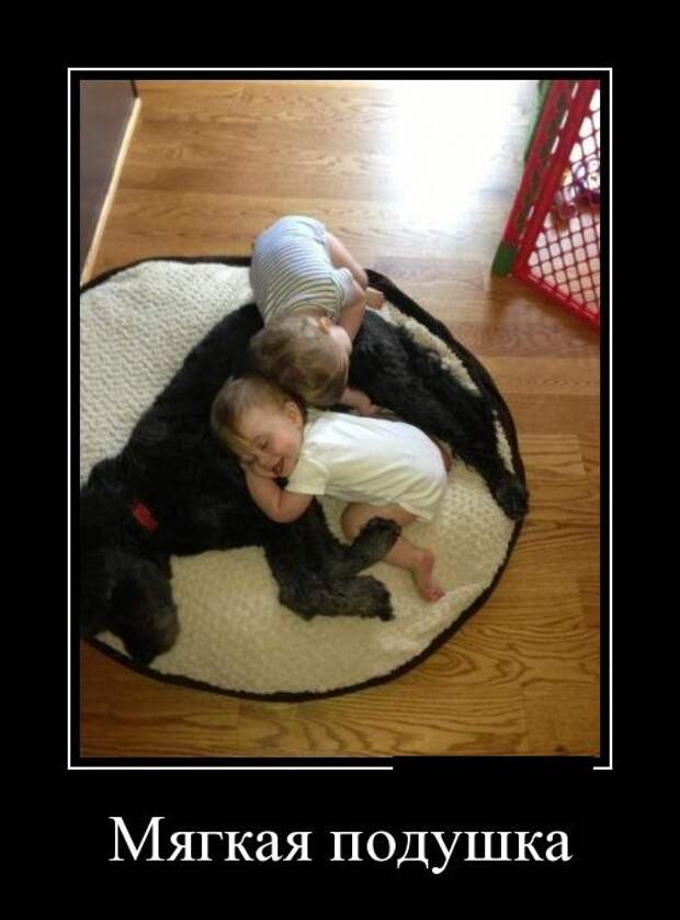 Демотиваторы демотиваторы, прикол, смех, юмор