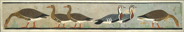 Фреска с гусями из мастабы № 16. Изображение взято с сайта: https://www.metmuseum.org/art/collection/search/544531
