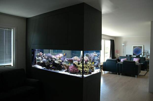 Красивые аквариумы в интерьере фото