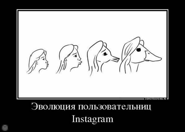 Не сдавайся никогда! 5