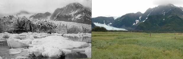 Ледник Петерсен, Аляска история, факты