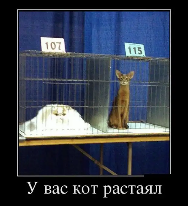 - Человек дал мне визитку: 