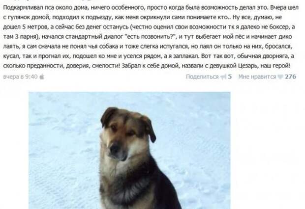 Забавная переписка из соцсетей