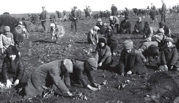 1932