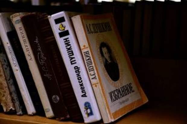 Депутат МГД Игорь Бускин рассказал как столичные парки развивают собственные концепции буккроссинга Фото: Анна Быкова