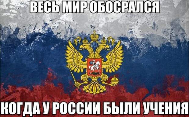 Просто смешные картинки с подписями весело, с подписями, смешные картинки, юмор