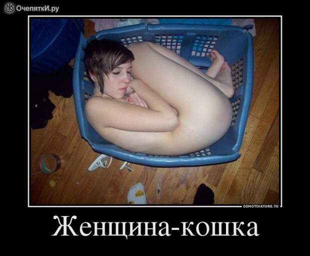 Дружба решает всё! 0