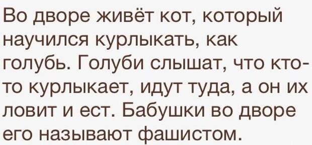 Разнообразная подборка =) Улыбок! Разнообразная подборка =) Улыбок!