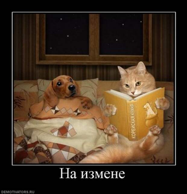 Прикольные демотиваторы, картинки и ржачные подписи.