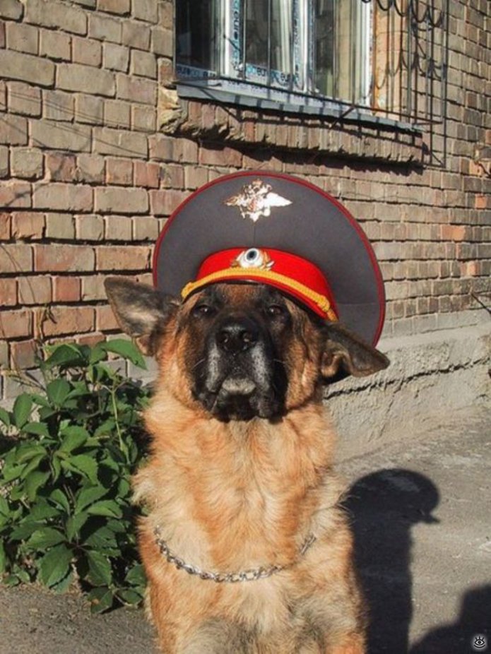 Позитивные фотки 0
