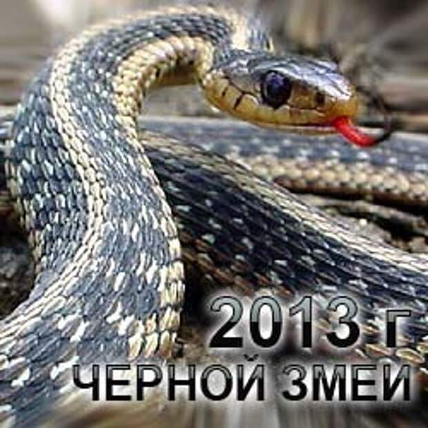 Как встречать Новый год 2013 Черной Водяной Змеи?