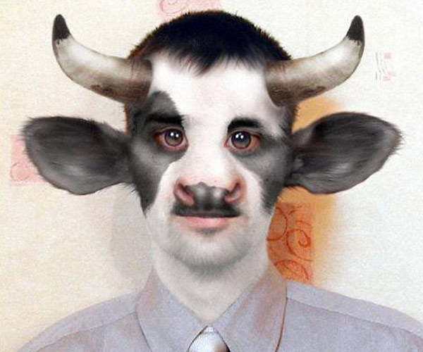 коров