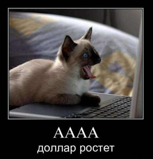 Самые смешные демотиваторы только у нас!