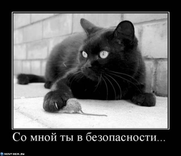 Демотиваторов у нас столько, что всех и не пересмотришь.