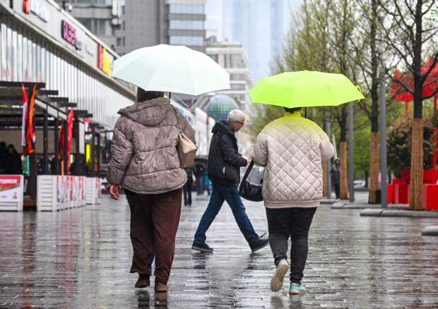 Назван срок окончательного прихода весны в Москву