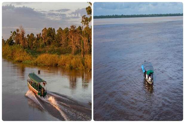 Итак, Амазонка удалена, как и многие другие реки. Почему бы не построить мост? Хотя бы один-единственный мост.