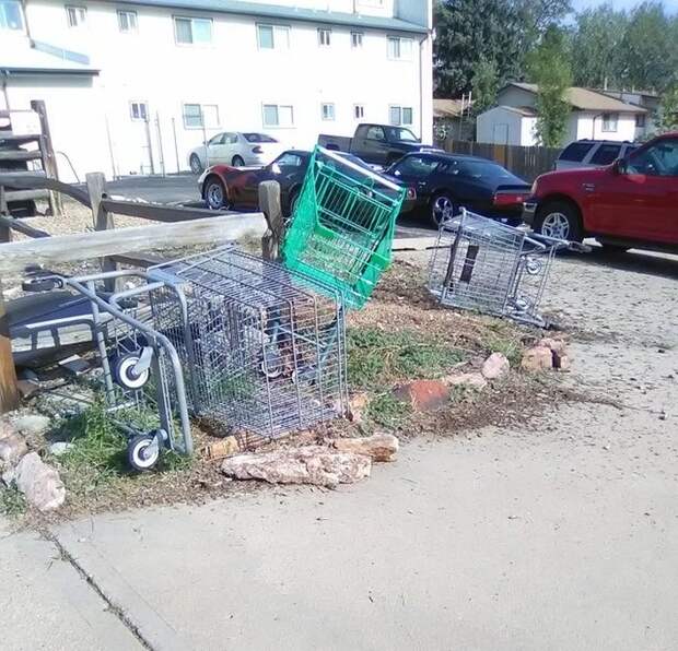 тележка из супермаркета