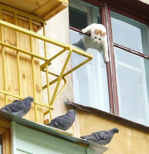 За секунду до... Отличный блокбастер!