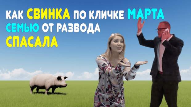 Как свинка по кличке Марта семью от развода спасала: реальная и поучительная история из жизни