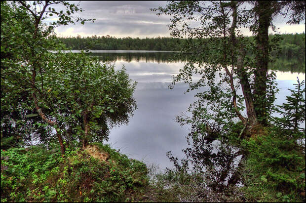 Озеро на Большом Соловецком острове/3673959_8 (700x464, 294Kb)